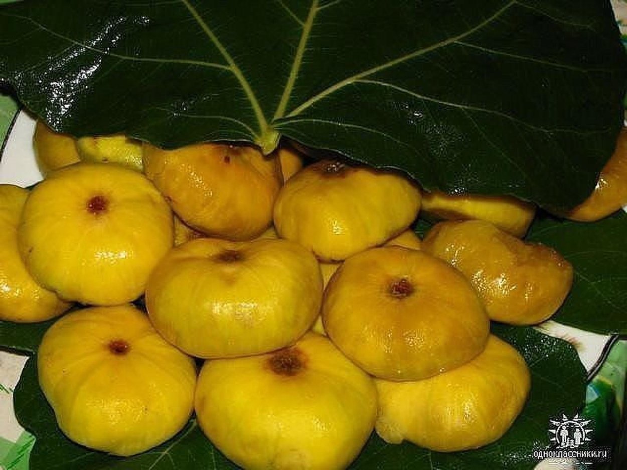 Анжир меваси