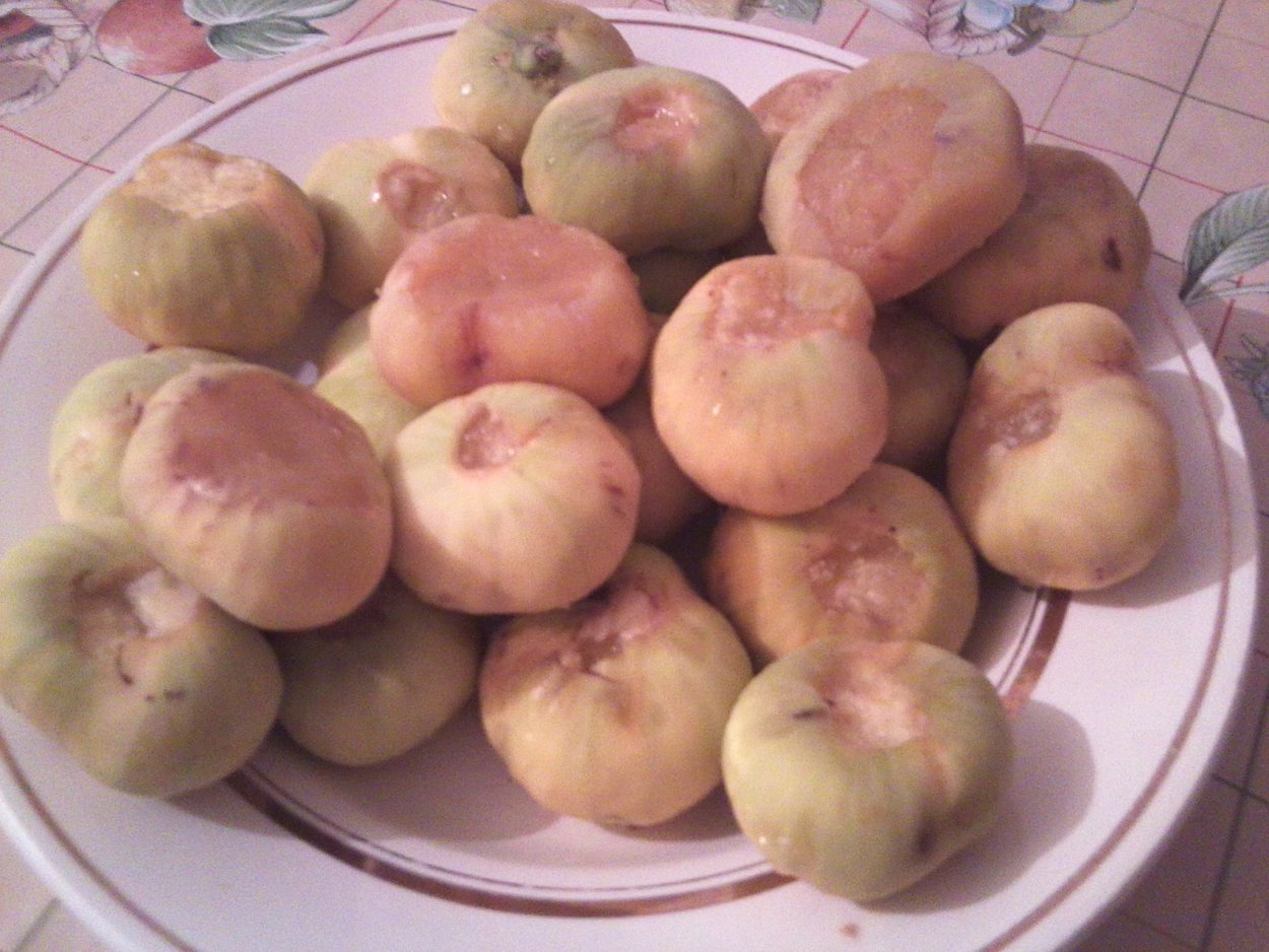 Инжир Ташкентский