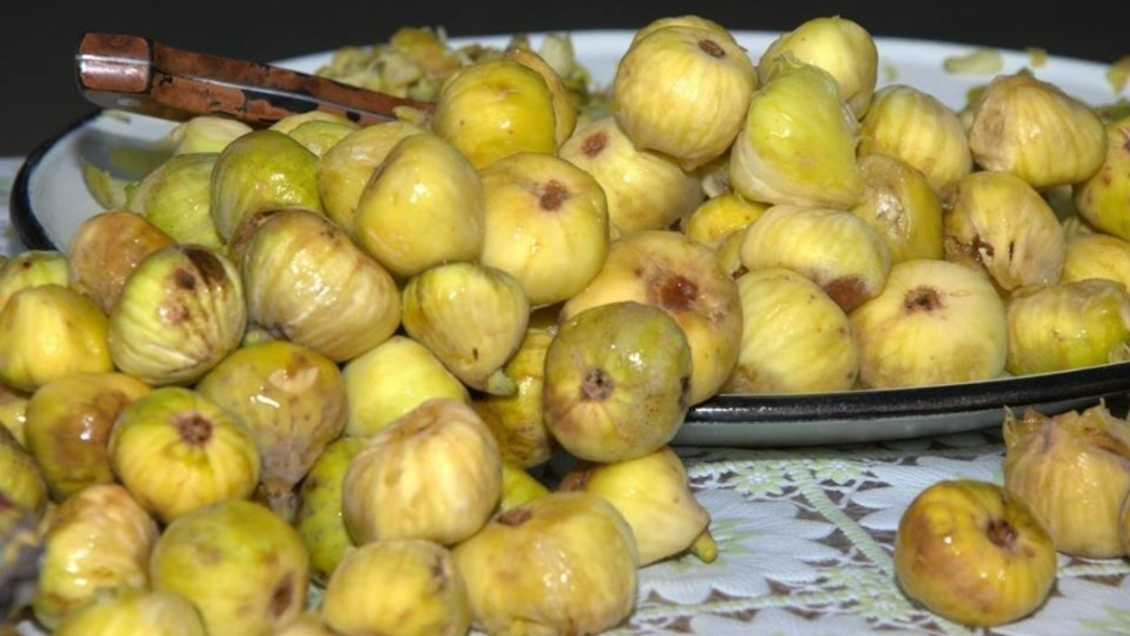 Апшеронский желтый инжир