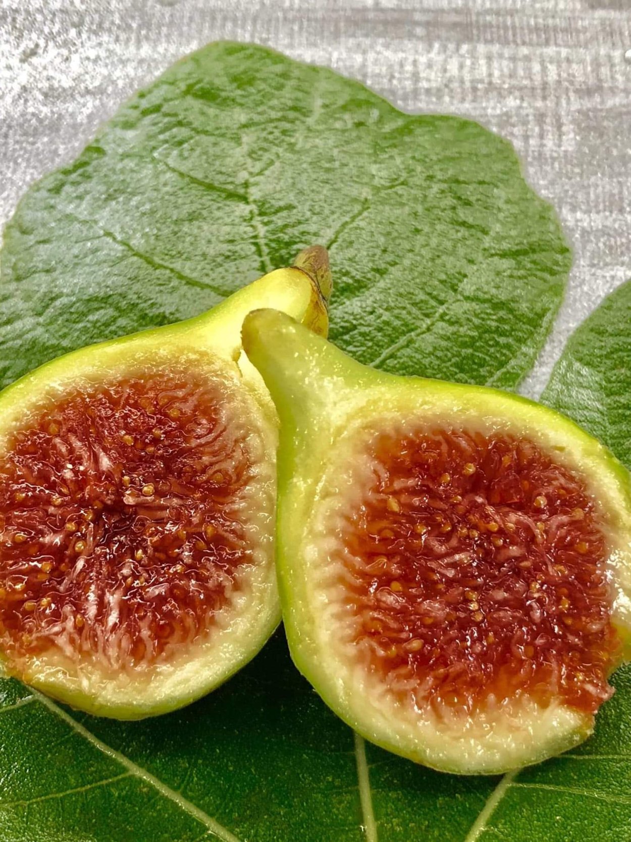 Инжир Узбекистан