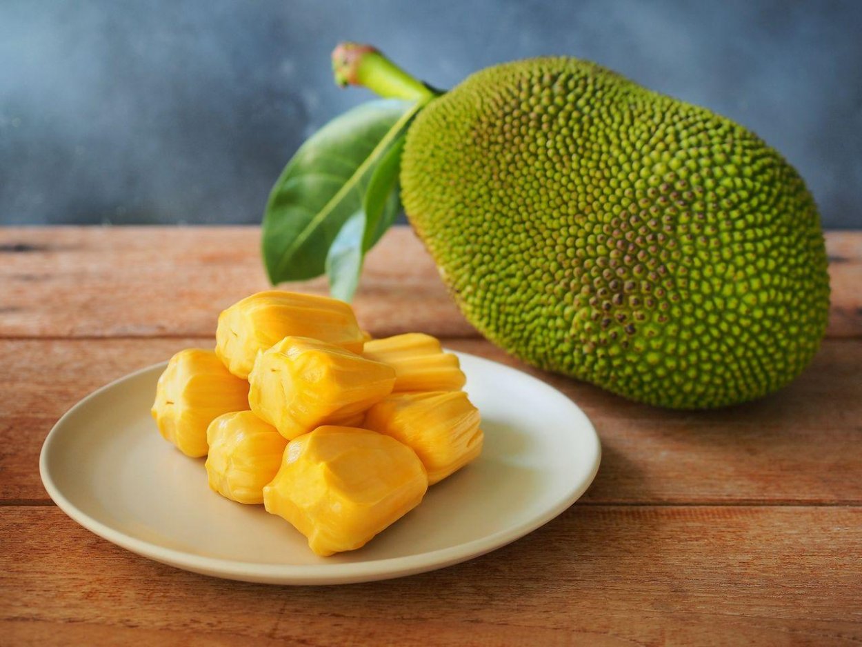 Джекфрут (Jackfruit)