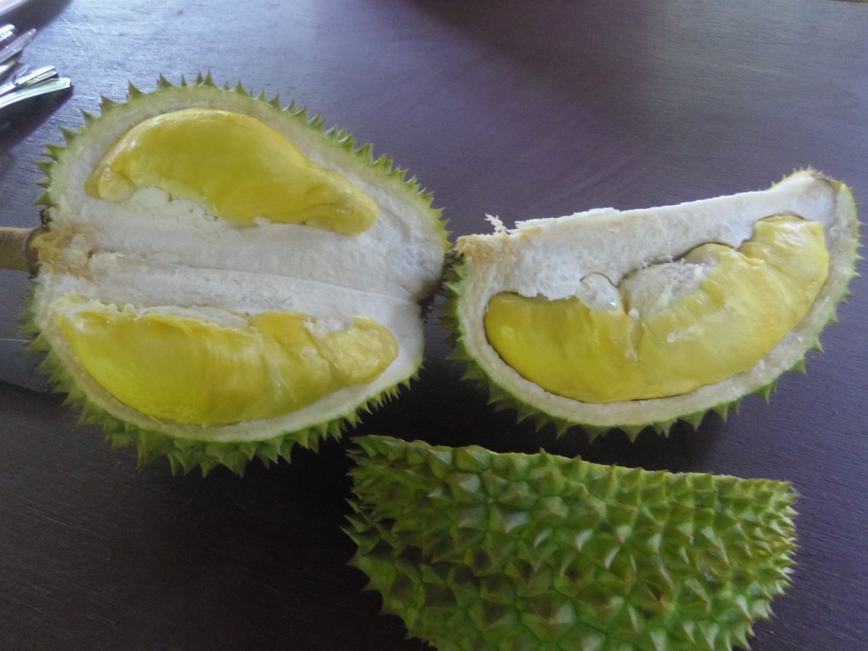 Амбрелла фрукт