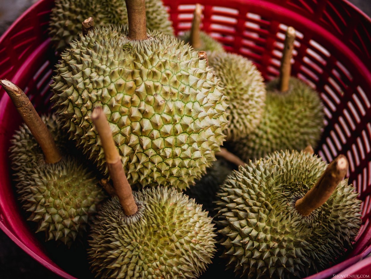 Таиландский фрукт дуриан