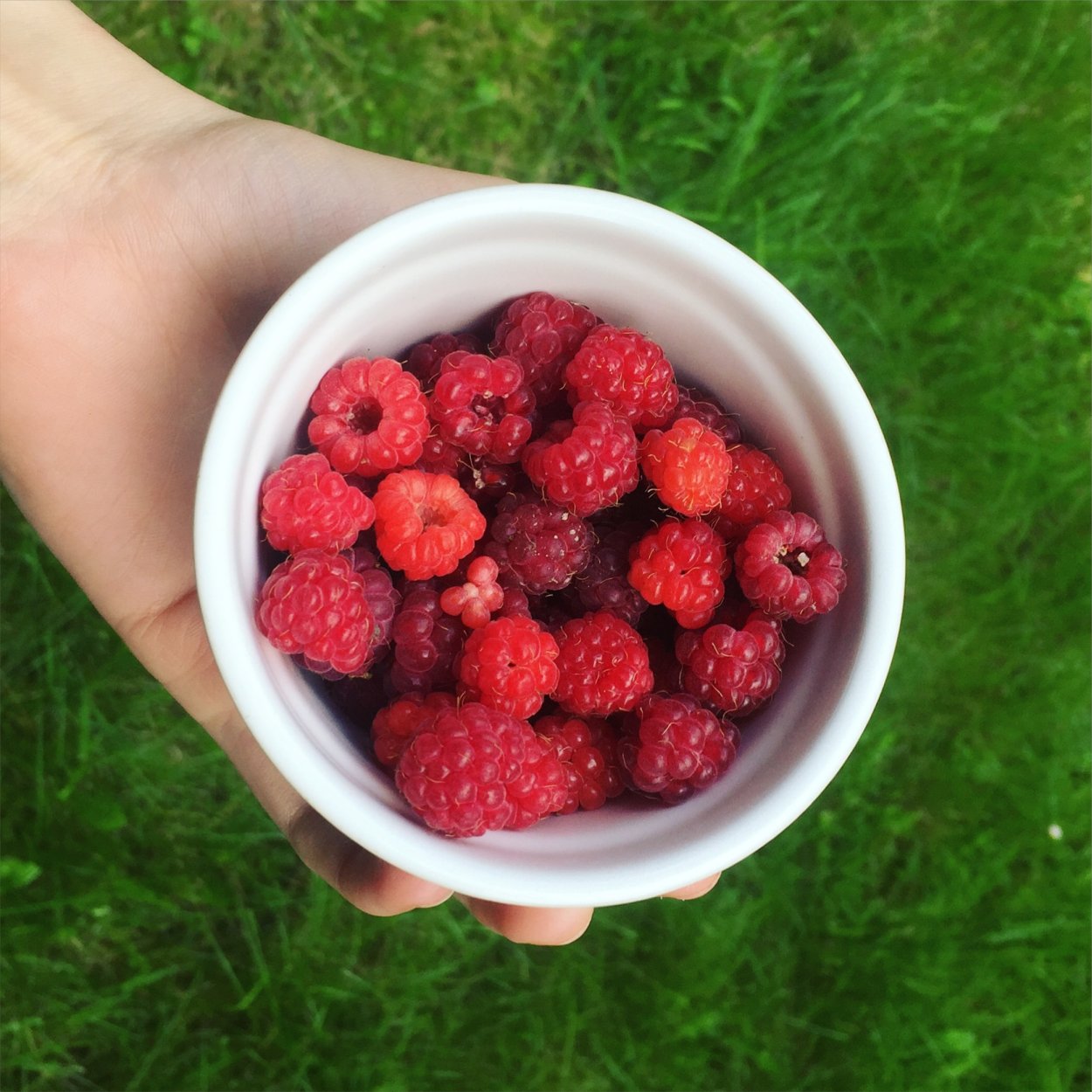 Ягоды малина клубника