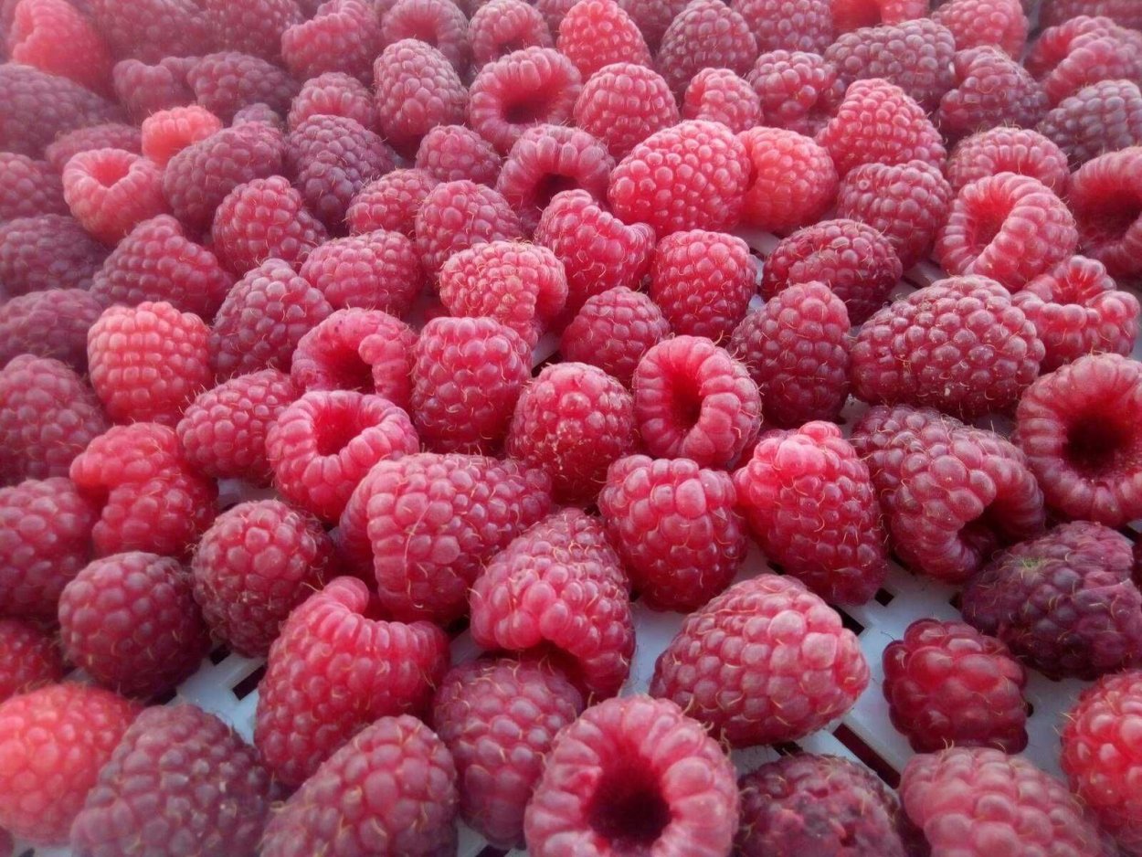 Детский Геркулес клубника малина