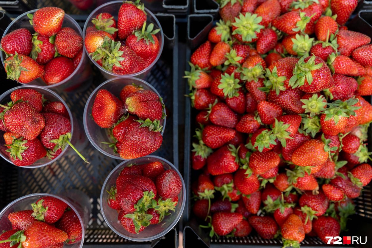 Много ягод на клубнике