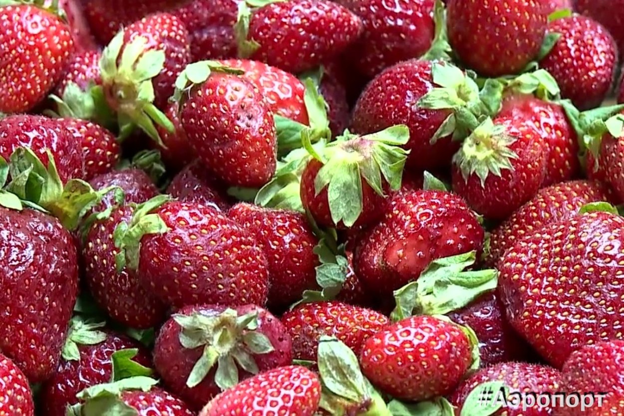 Клубника поспела