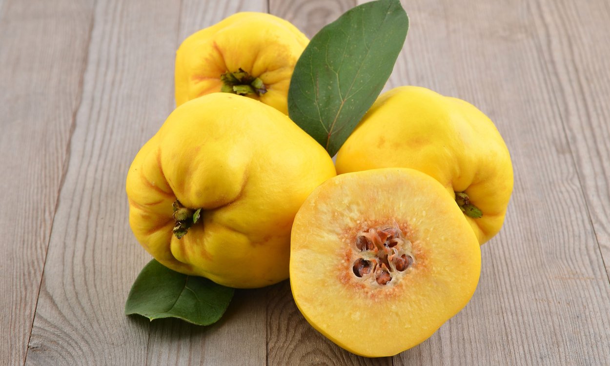 Айва узбекская