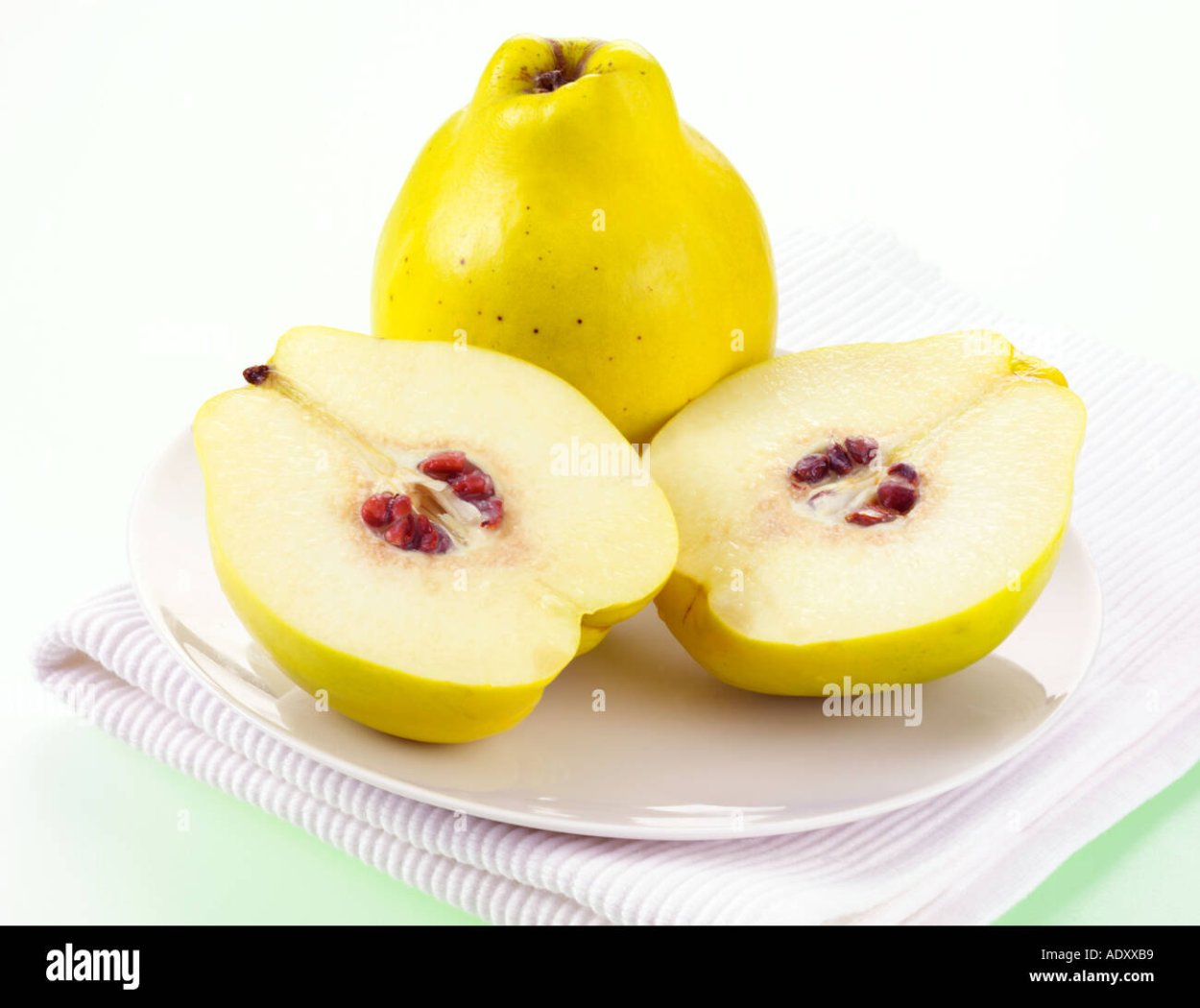 Айва в разрезе