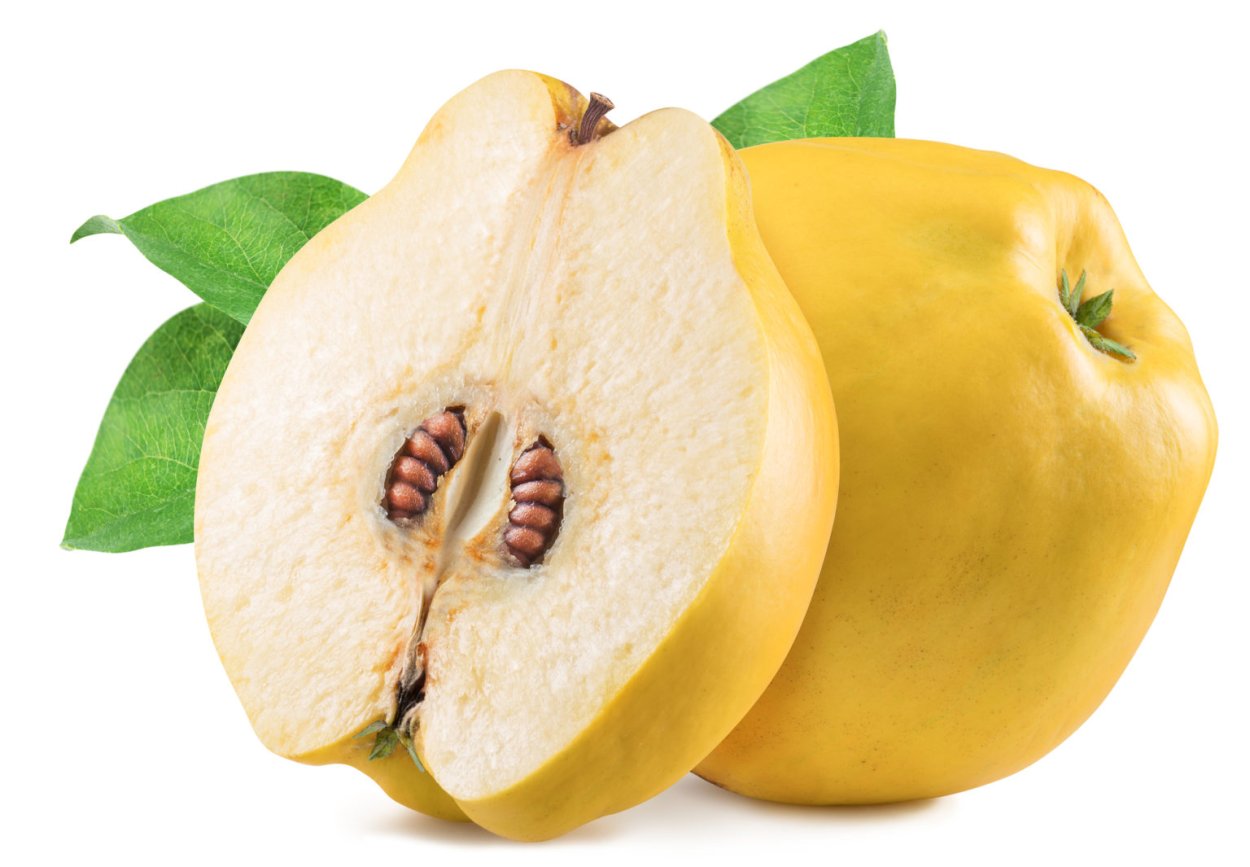 Бехи меваси