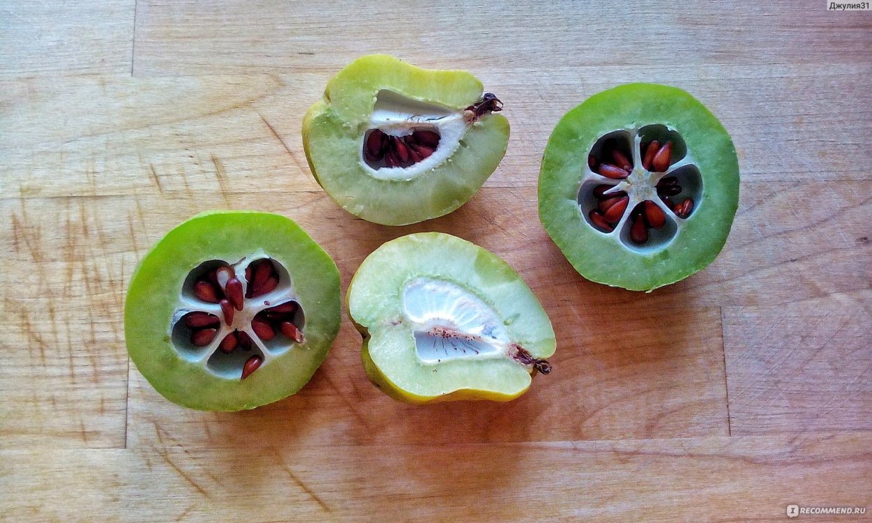 Айва японская плоды в разрезе