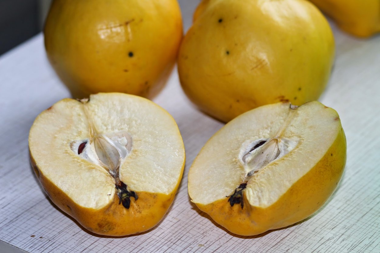 Айва фаршированная бараниной