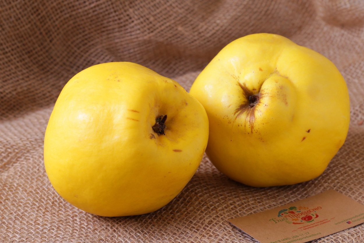 Айва по армянски