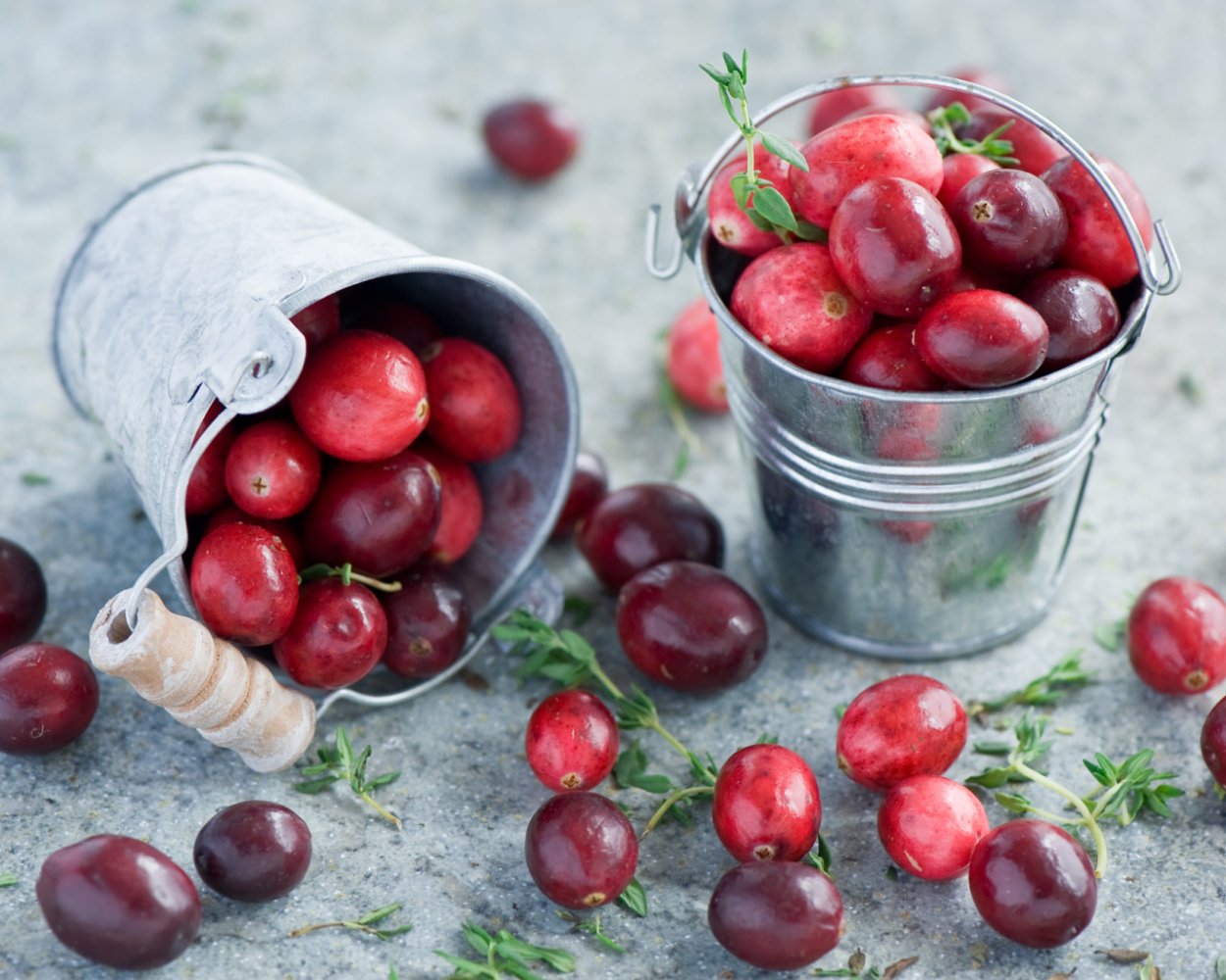 Кислые ягоды