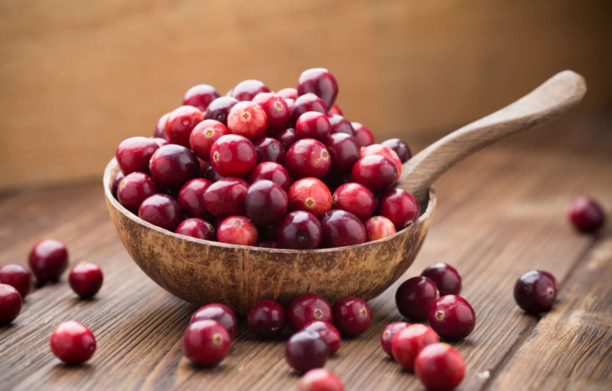 Клюква брусника Эстетика