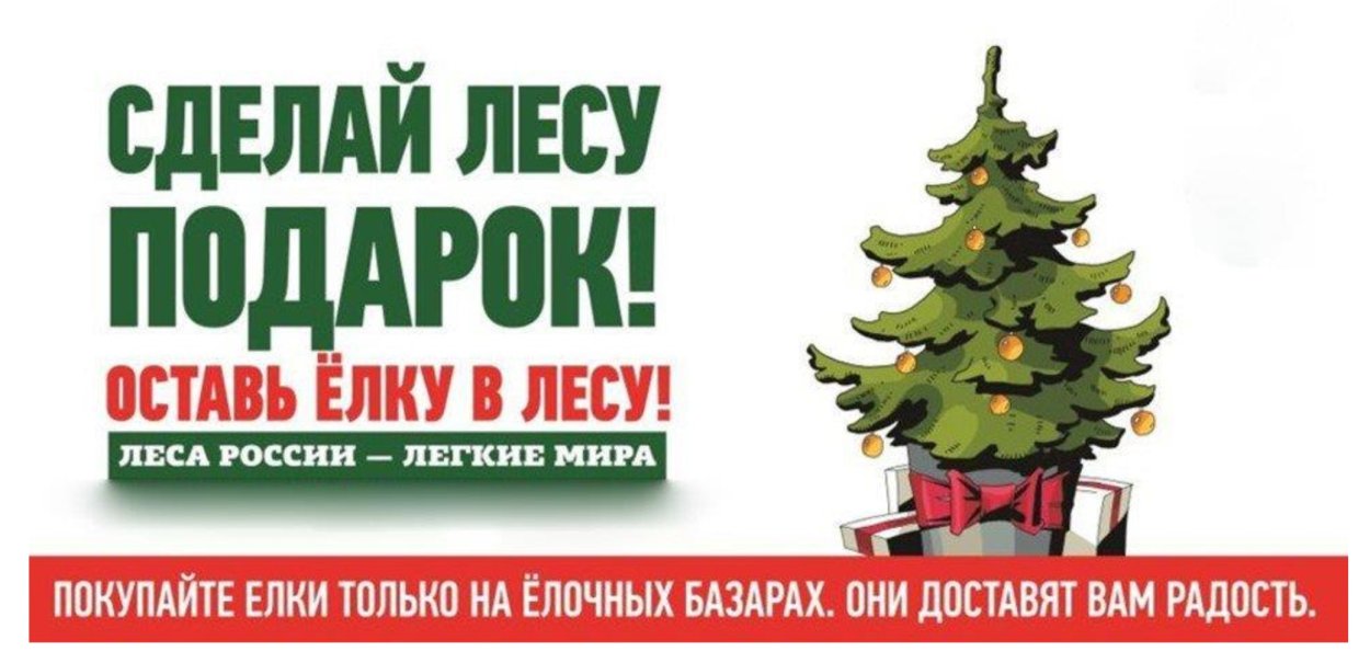 Против вырубки елок на новый год