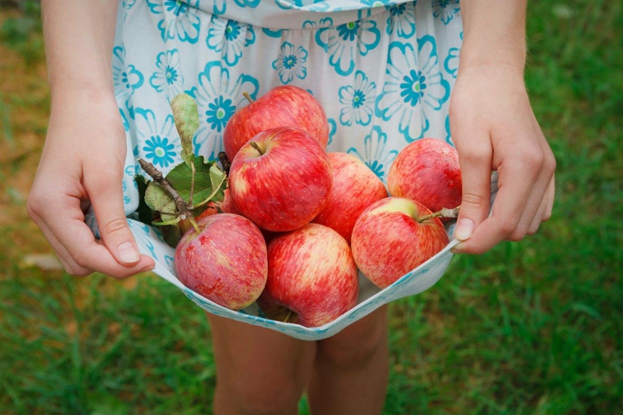 Яблоки в Подоле