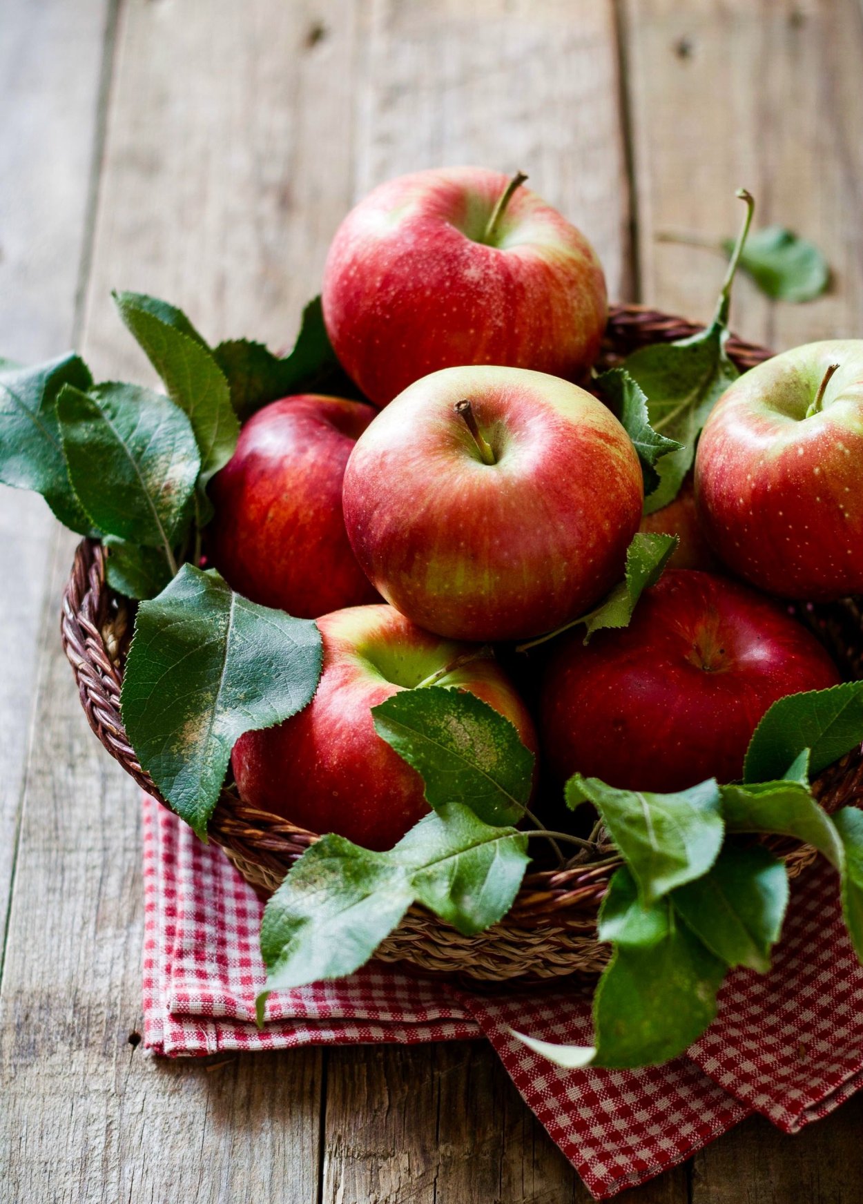 Красное и зеленое яблоко