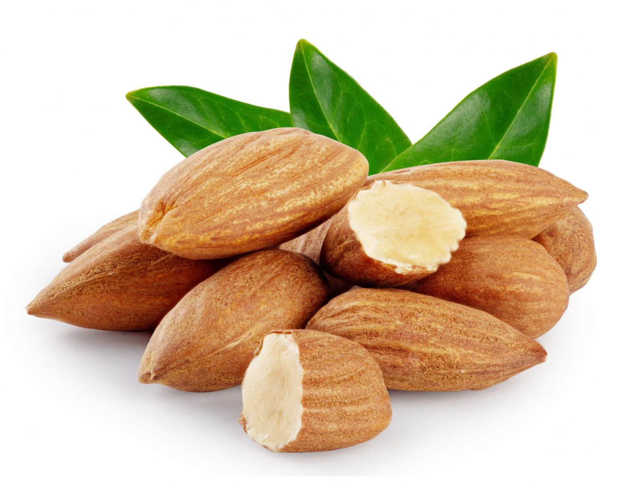 Almond leaves