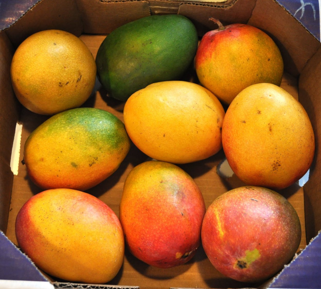 Манго сорт Альфонсо