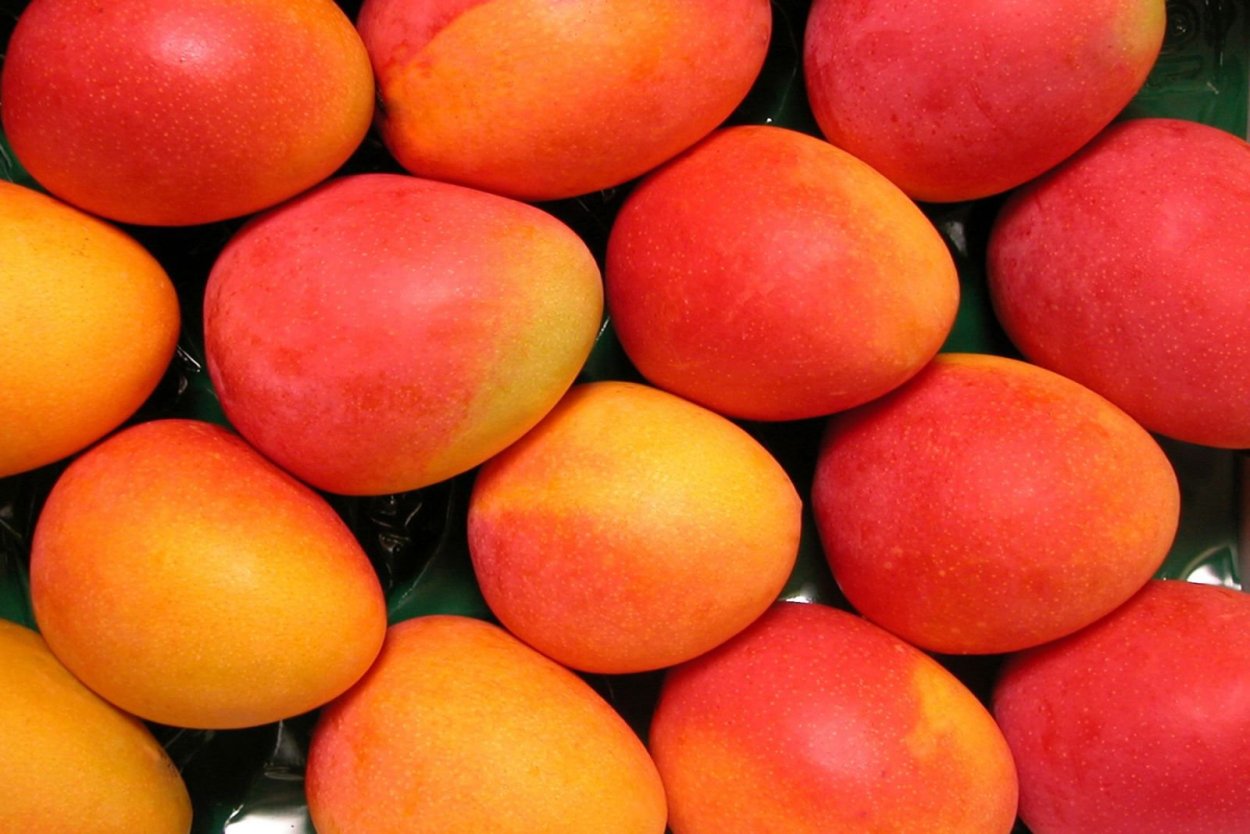 Королевский сорт манго