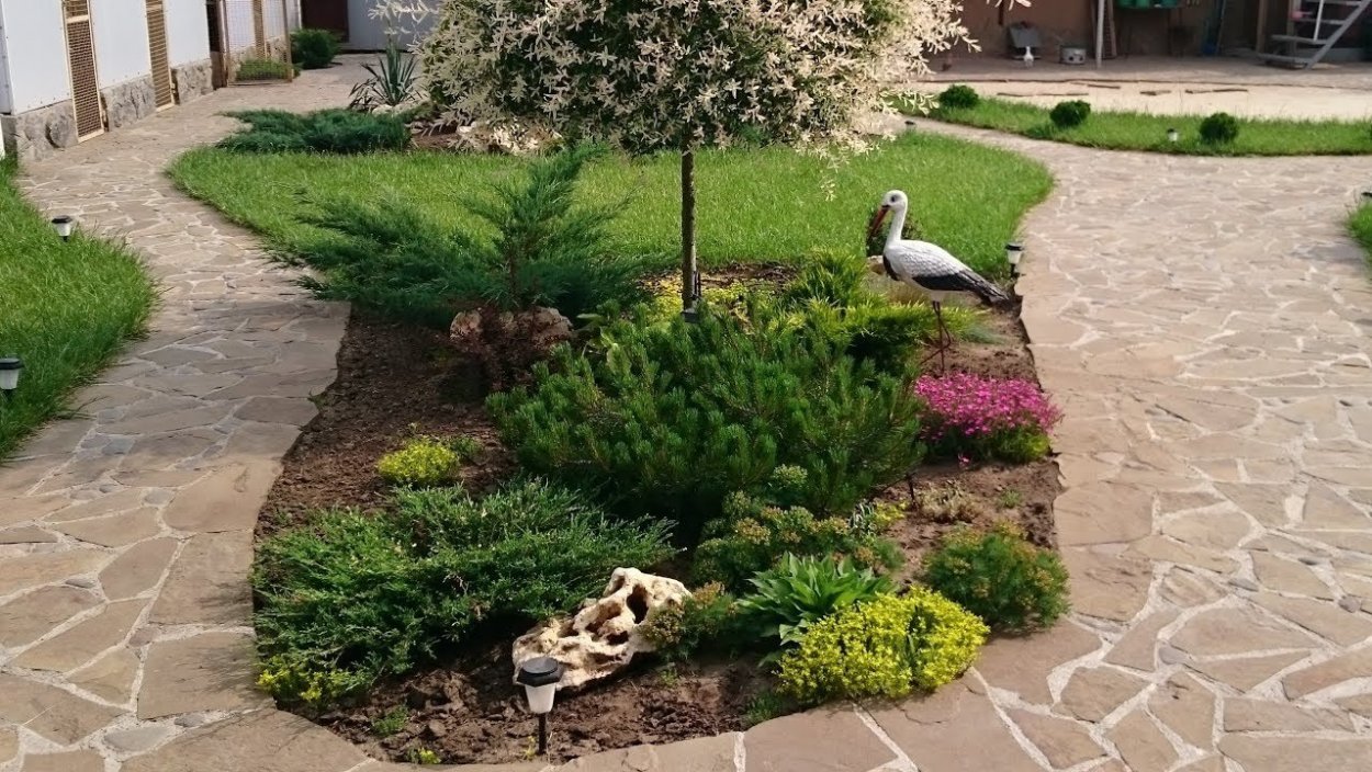 Клумба с ивой Хакуро нишики