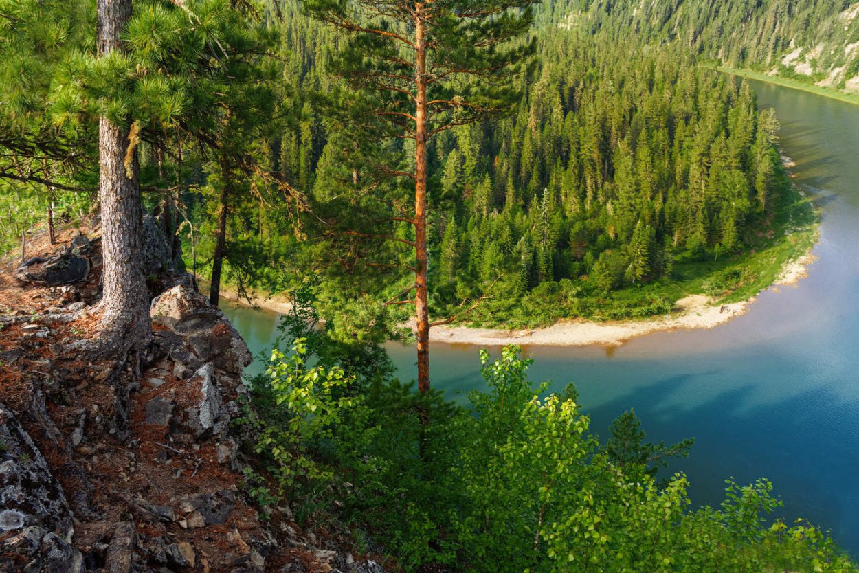 Красивые места в лесу Екатеринбург