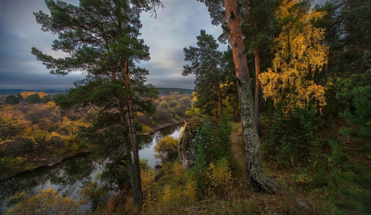 Лес Южного Урала