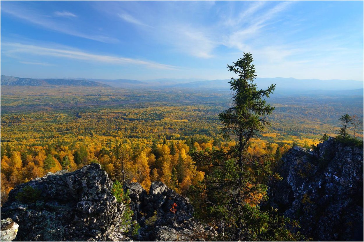 Тайга Северного Урала