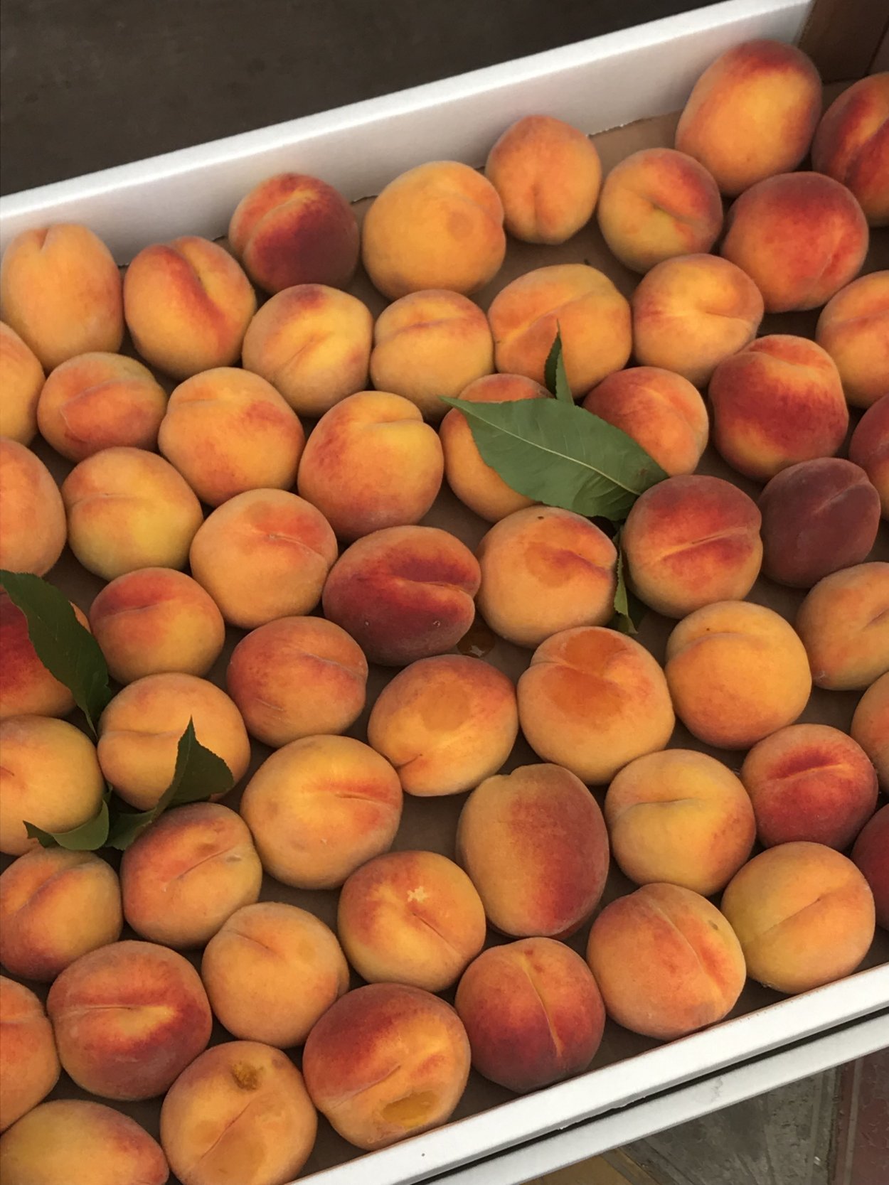 Персики сезон