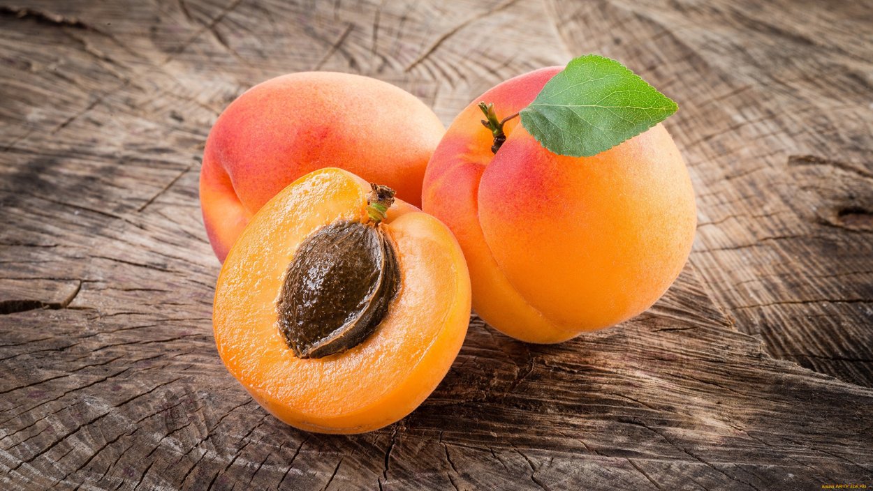 Абрикос плод