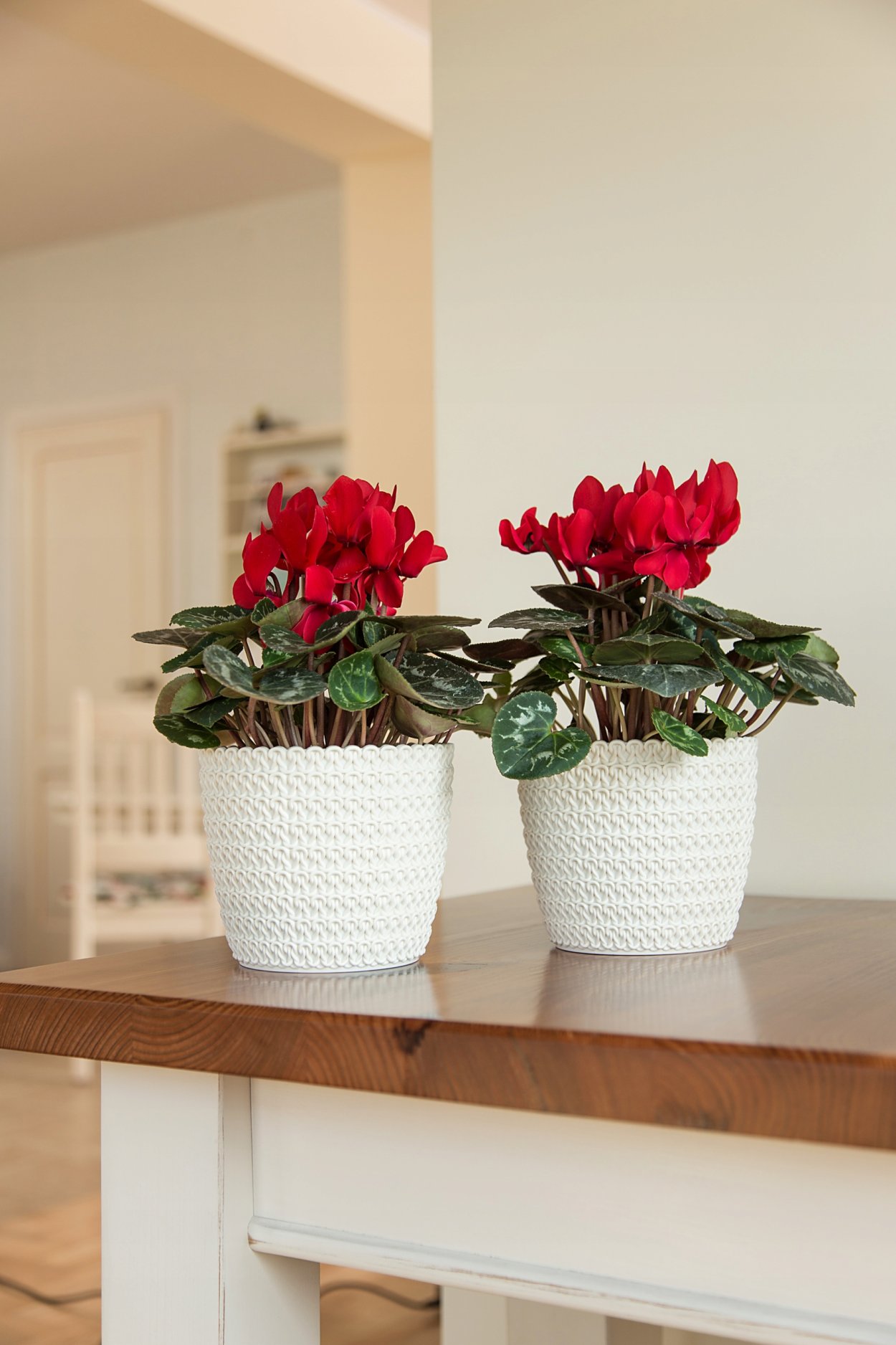 Кашпо Ламела Магнолия