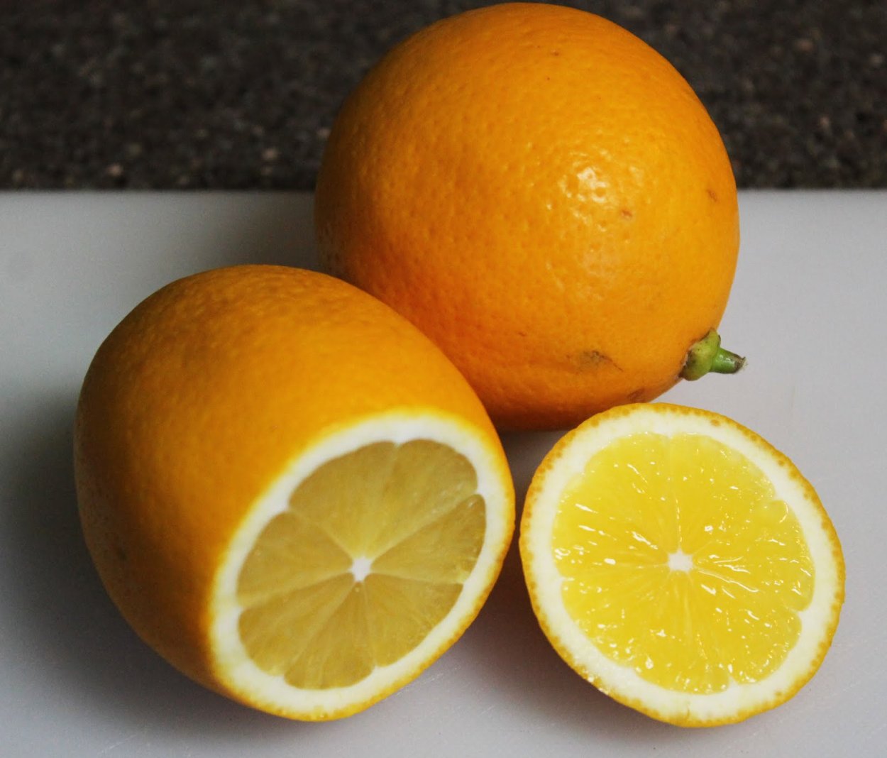 Цитрус лимон Мейера 750583