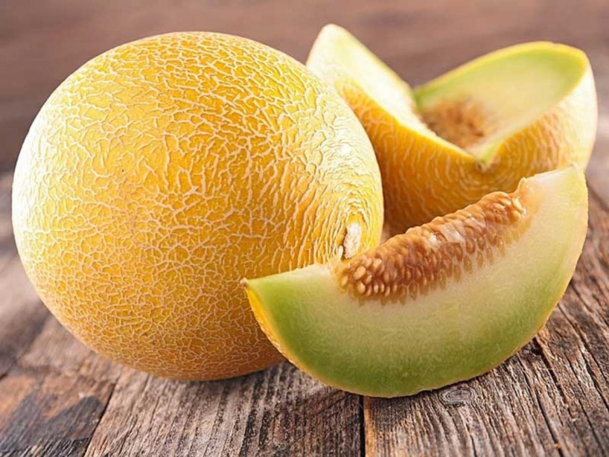 Дыня колхозница