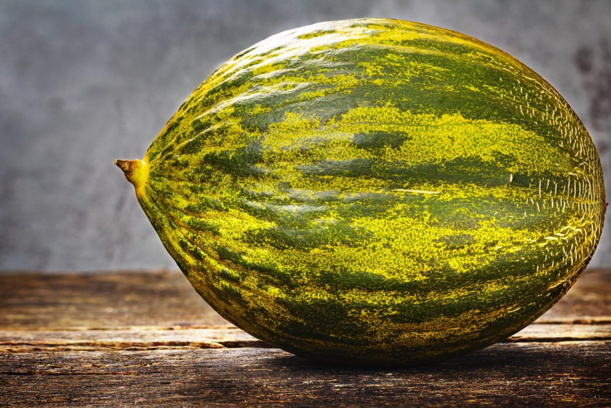 Дыня тим piel de sapo