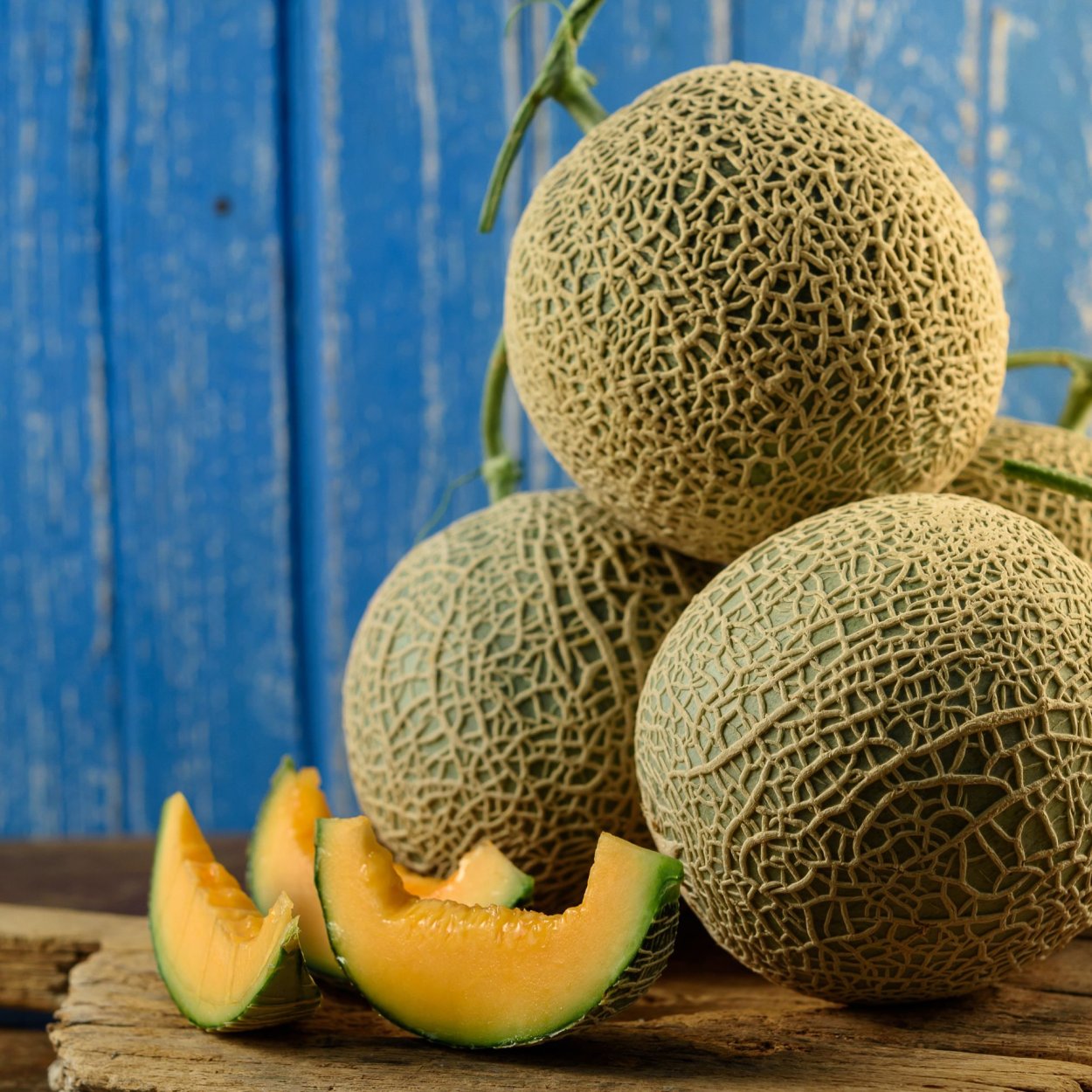 Дыня Шарентэ