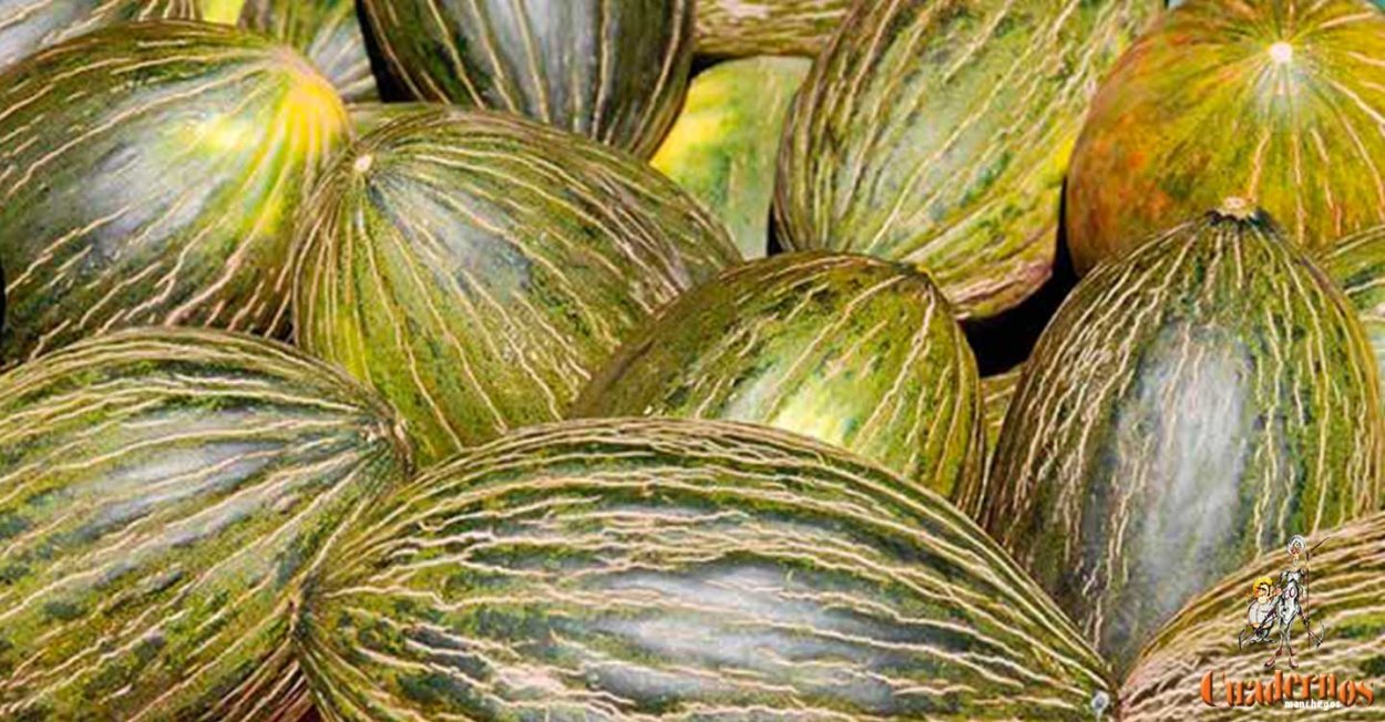 Дыня Дон Кихот f1