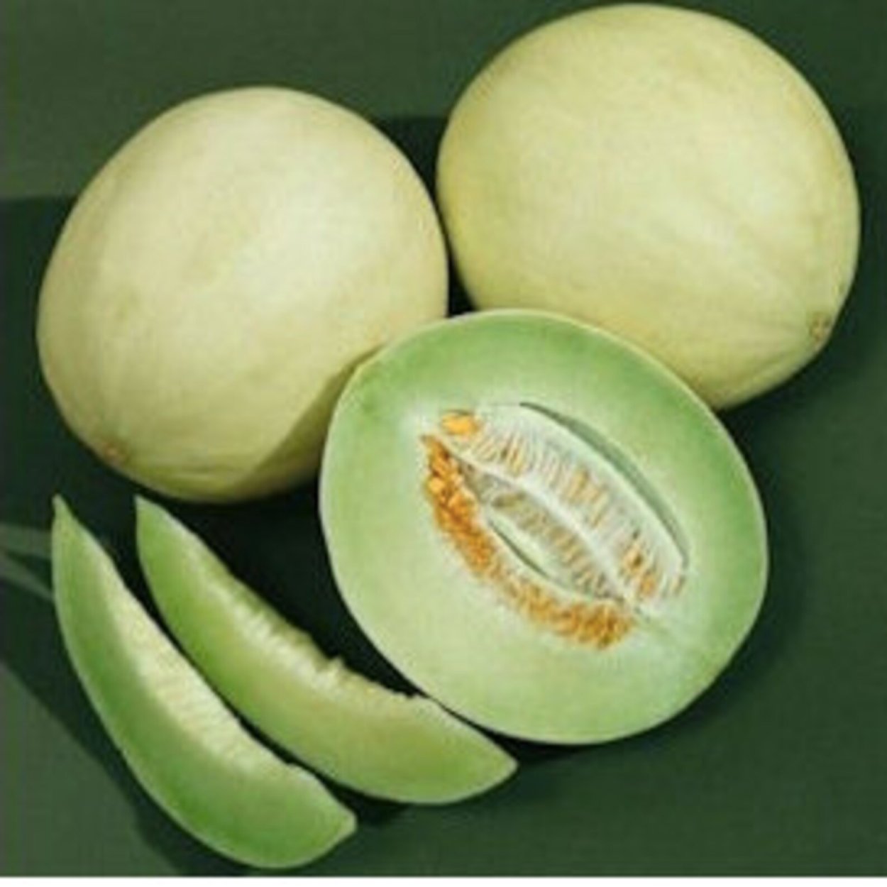 Дыня Хани Дью