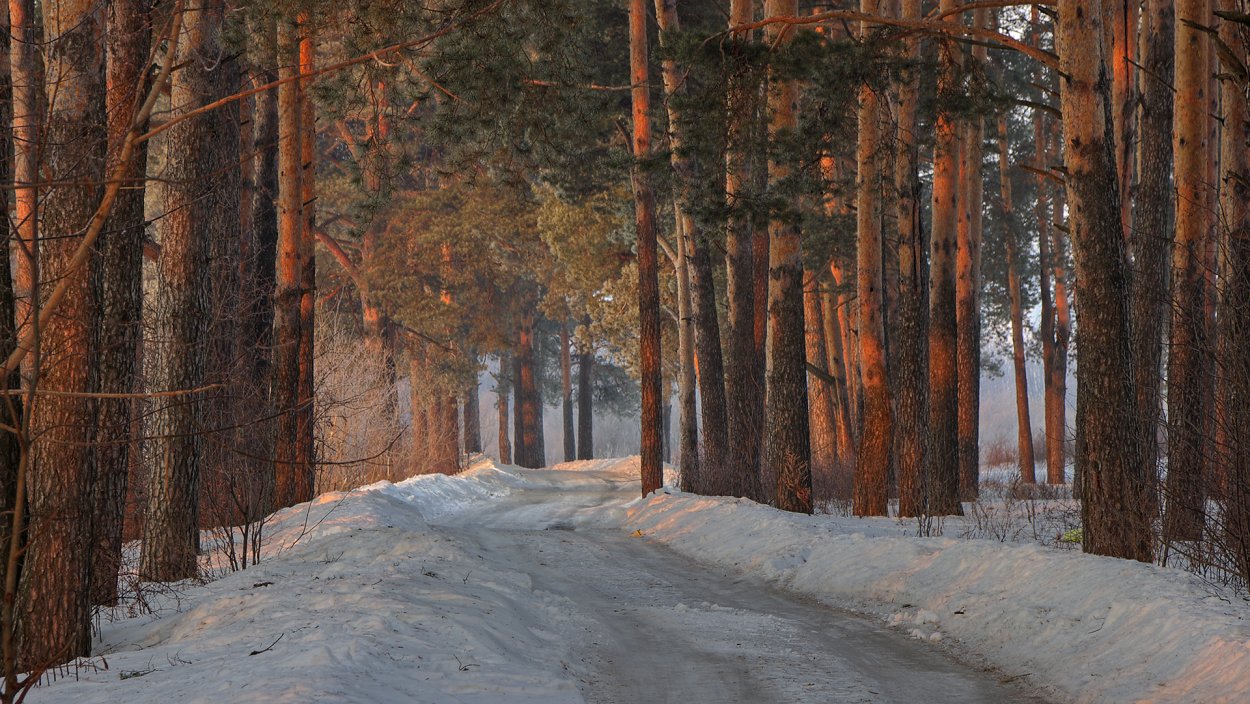 «Сосновый Бор» Кировская область зима