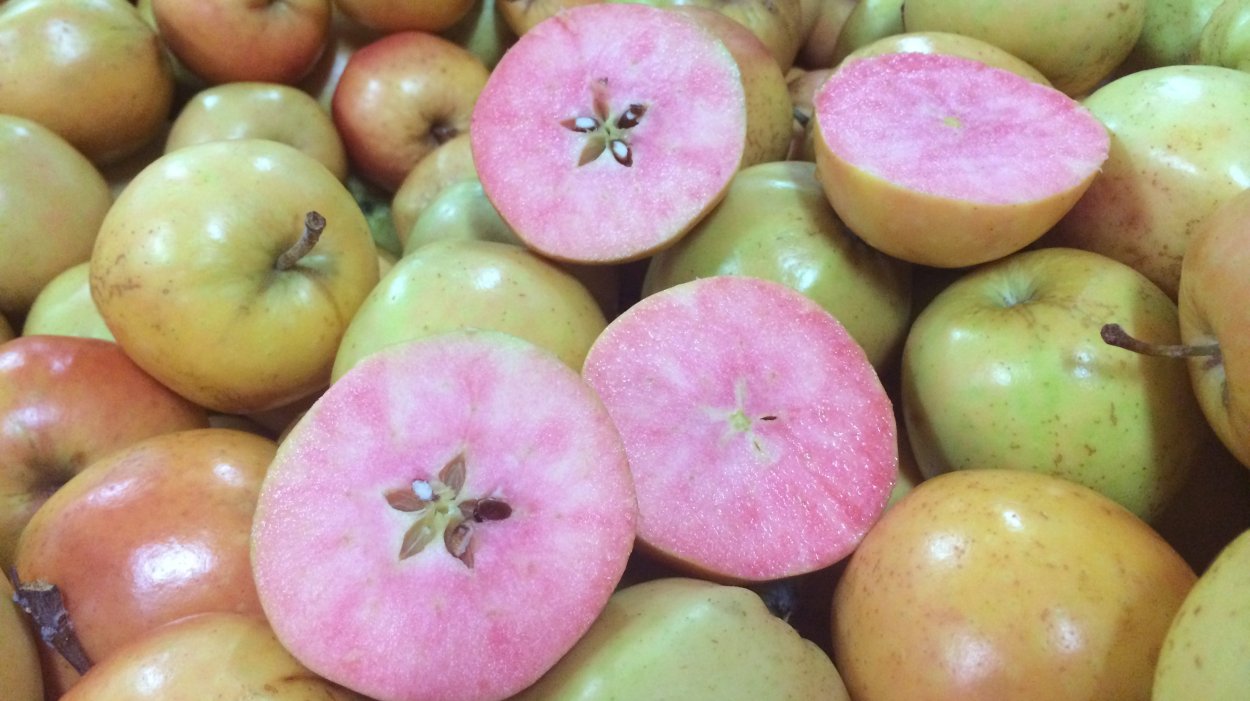 Яблоки розовый жемчуг