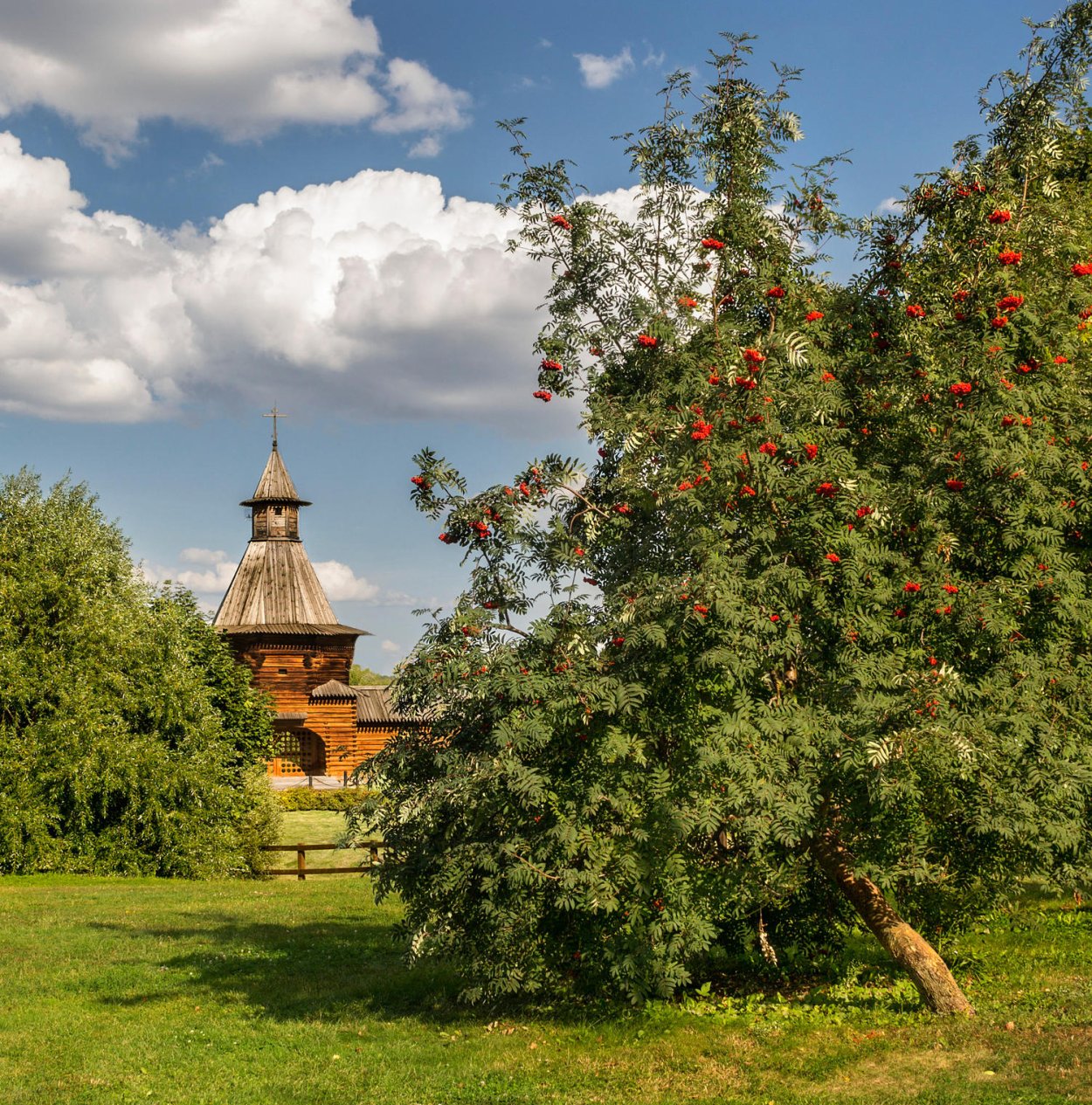 Коломенское музей-заповедник рябина