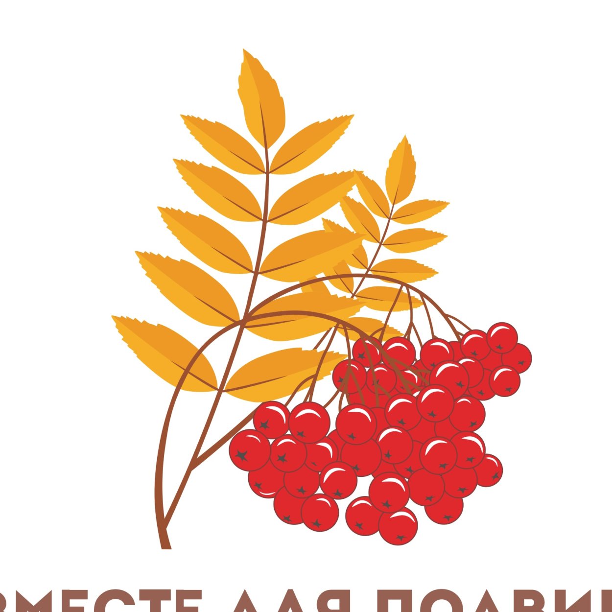 Рябина в ноябре