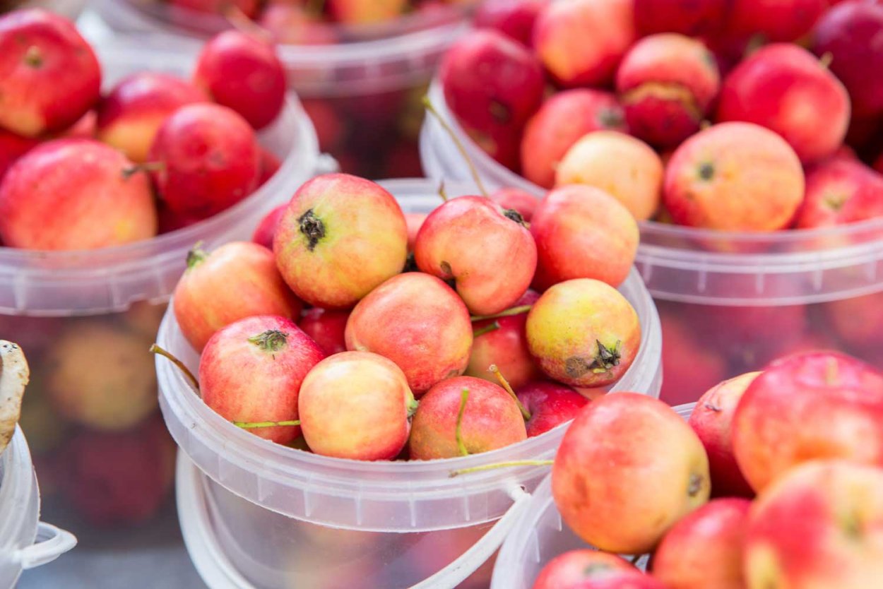 Яблоки Ранетка