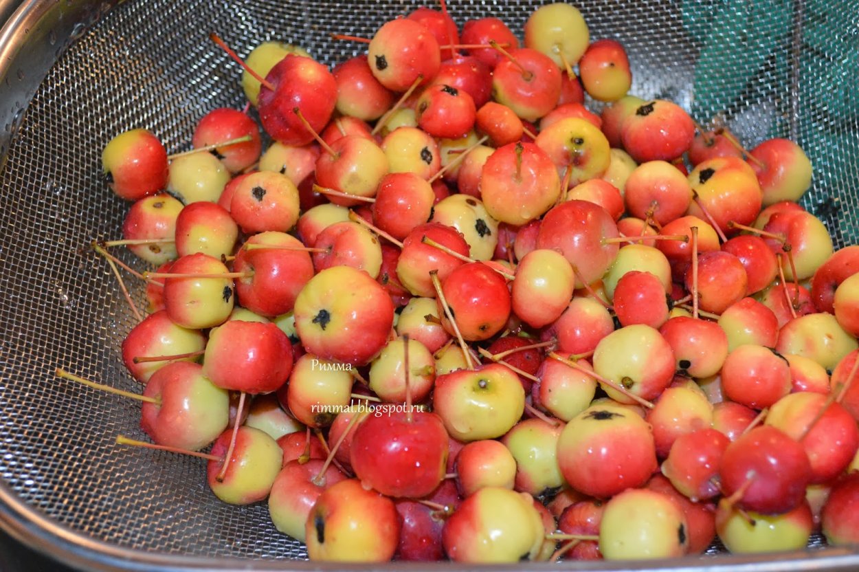 Райские яблочки Ранетки