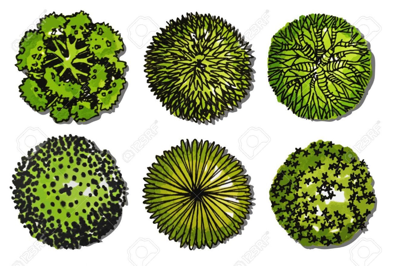 Деревья вид сверху флэт