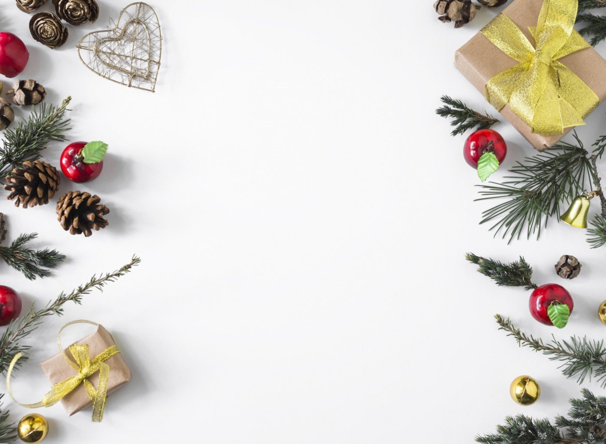 Ветка Еловая