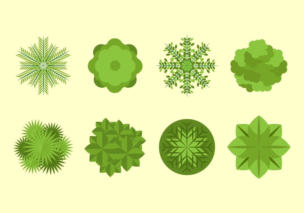 Деревья вид сверху вектор