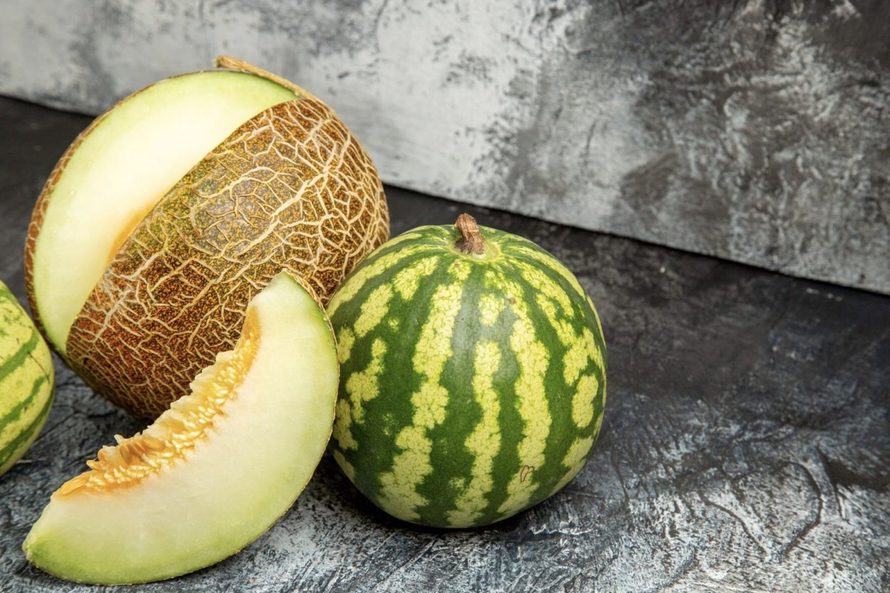 Большие дыни