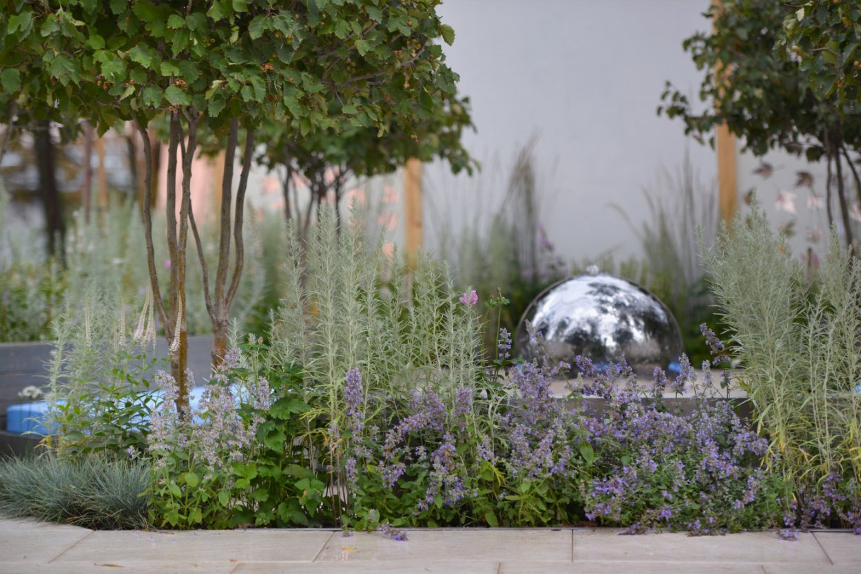 Сад в серебристых тонах