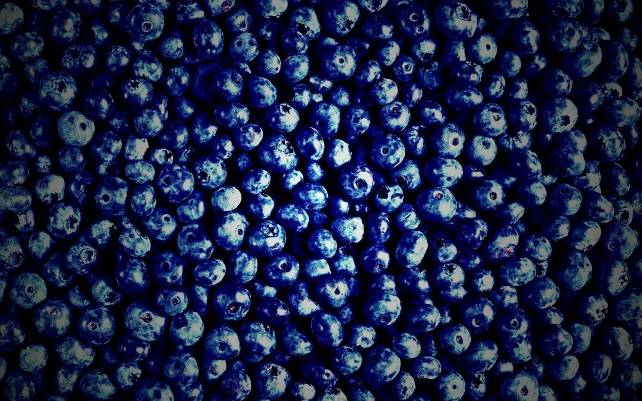 Черничный фон